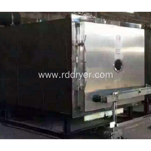 Jellyfish freeze-drying machine